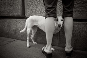 免费ddos防火墙